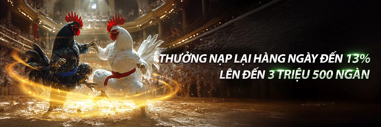 Đá Gà Trực Tuyến Hấp Dẫn tại R88 Code
